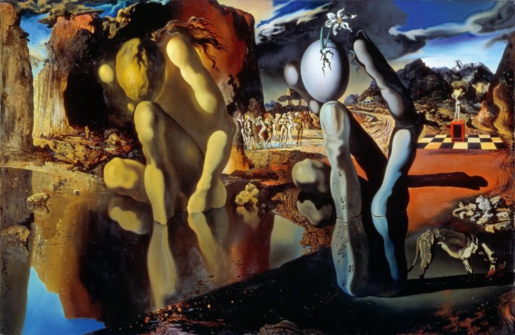 Dali Narcissus tablou canvas