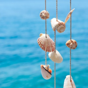 Tablou canvas deco scoici de mare