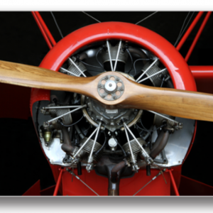 Tablou elice avion, Printly