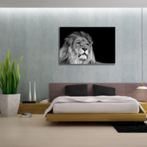Tablou black and white lion